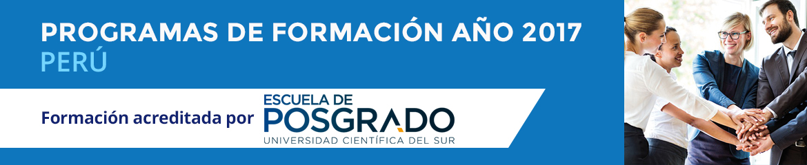 cursos ergonomia y salud ocupacional peru