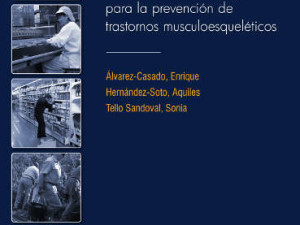 libro ergonomia evaluacion riesgo ergonomico trastornos musculoesqueleticos
