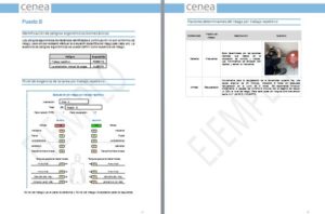 evaluacion de riesgos por movimientos repetitivos, ocra checklist cenea_