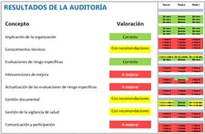 Auditoría gestión riesgos ergonómicos