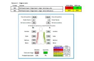 evaluaciones ergonomicas puestos de trabajo