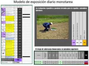 Software de ergonomia TACOS