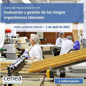evaluacion riesgos ergonomicos