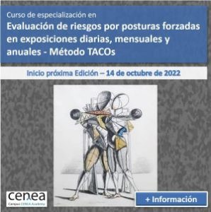 evaluacion riesgos ergonomicos TACOS