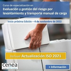 riesgo ergonomico levantamiento cargas