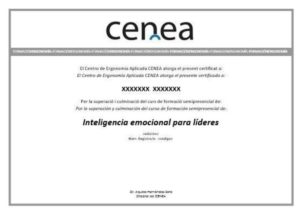 curso inteligencia emocional certificado