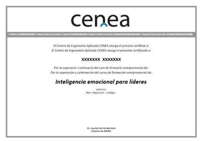 curso inteligencia emocional certificado