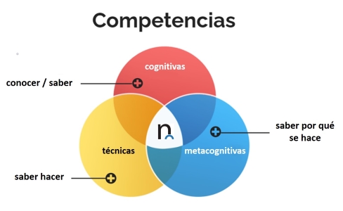 Esquema competencias CENEA